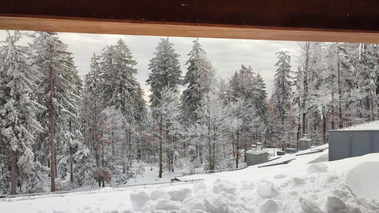 Apartment Pohorje Pearl Lux, 2-floor Hocko Pohorje